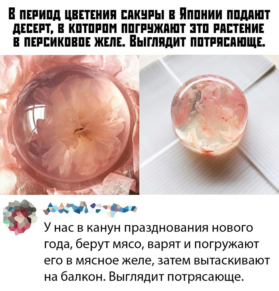 В ПЕРИПд ЦВЕТЕНИП БПКНРЫ В ПППНИИ ППдПШТ дЕБЕРТ В КПТШПМ ППГРНЖПШТ ЭТП РППТЕНИЕ В ПЕРЕИКПВПЕ ЖЕЛЕ Выглядит ППТРПЕПШЩЕ 13 и Йдьёіз и У нас в канун празднования нового года берут мясо варят и погружают его в мясное желе затем вытаскивают на балкон Выглядит потрясающе