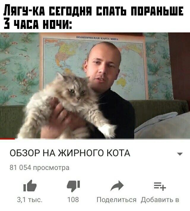 Лпгн кп пвгпднп пппть пппяньш чини нпчи ОБЗОР НА ЖИРНОГО КОТА 81 054 просмотра д 108 Поделиться Добавить в