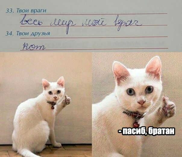 33 Твои враги ь С 34 Твои друзья