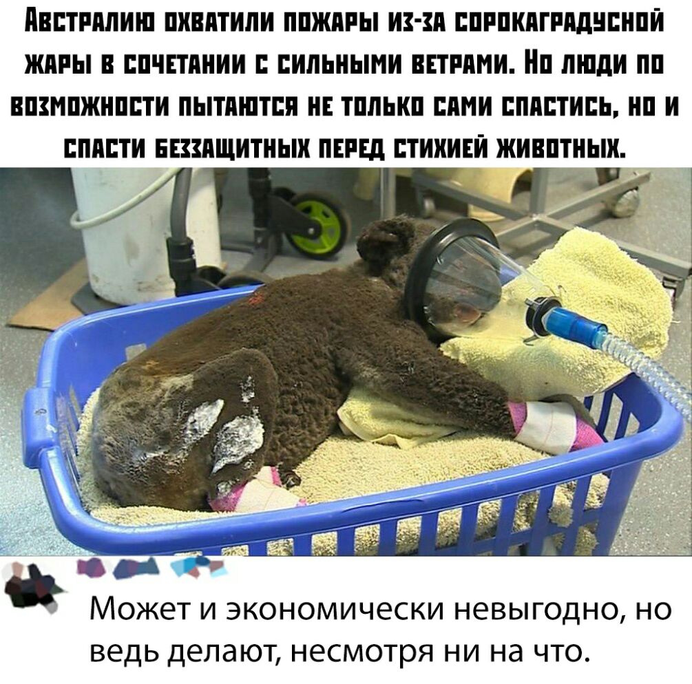 ВЕТРППИШ ПХВПТИПИ ППЖПРЫ ИЗЗП ЕПРПКПГРПДНЕНПЙ ЖПРЫ В ШЧЕТАНИИ ПИЛЬНЫМИ ВЕТРПИИ П ШПдИ ПП ВШМПЖНППТИ ПЫТПШТЕП НЕ ПШЫШ ШШИ ЕППЕТИЕЬ И ППППТИ ЕЕЗЗПЩИТНЫХ ПЕРЕД ЕТИХИЕЙ ЖИЕПТНЬШ МОЖЕТ И ЭКОНОМИЧЭСКИ НЕВЫГОДНО НО ВЕДЬ ДЕЛЭЮТ НЁСМОТРЯ НИ Нд ЧТО