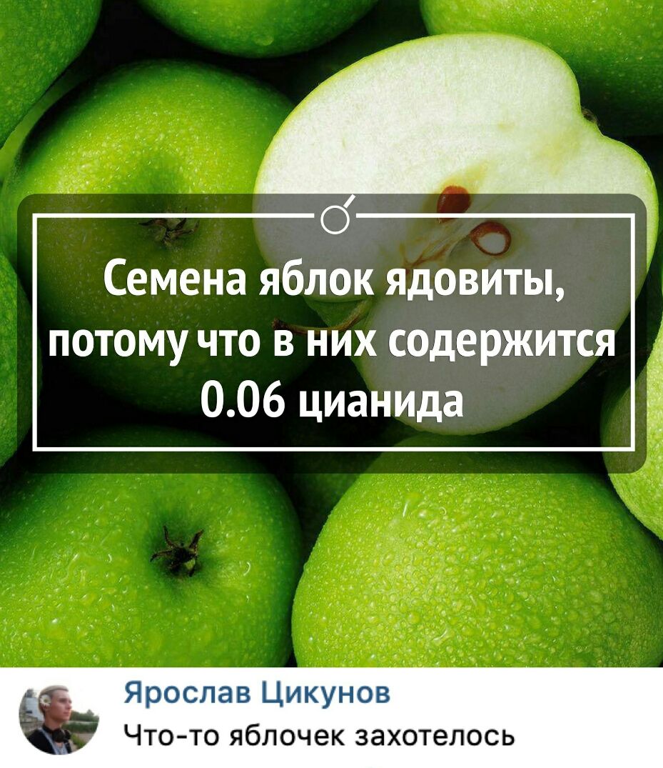 Семена яблок ядовиты потому что в них содержится 006 цианида Ярослав Цикунов Что то яблочек захотелось