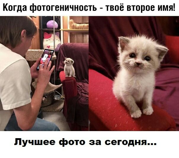 Когда фотогеничнооть твоё второе имя Лучшее фото за сегодня