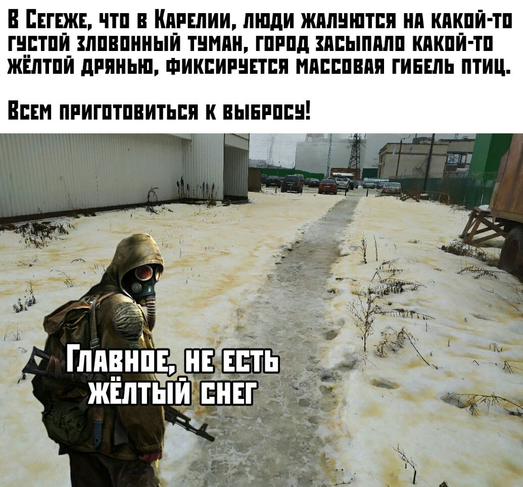 В Ещжв чтп в Клувлии пшди жппнштпя нп кпкпи тп гн__тпи_ ппвпнныи тнмпн гпппд дпыпдлп кпкпи тп жнлтпи дрянып шикпигнвтпя мппппвдя гинвль птиц Впнм ппигптпвитьпя к вынпппн