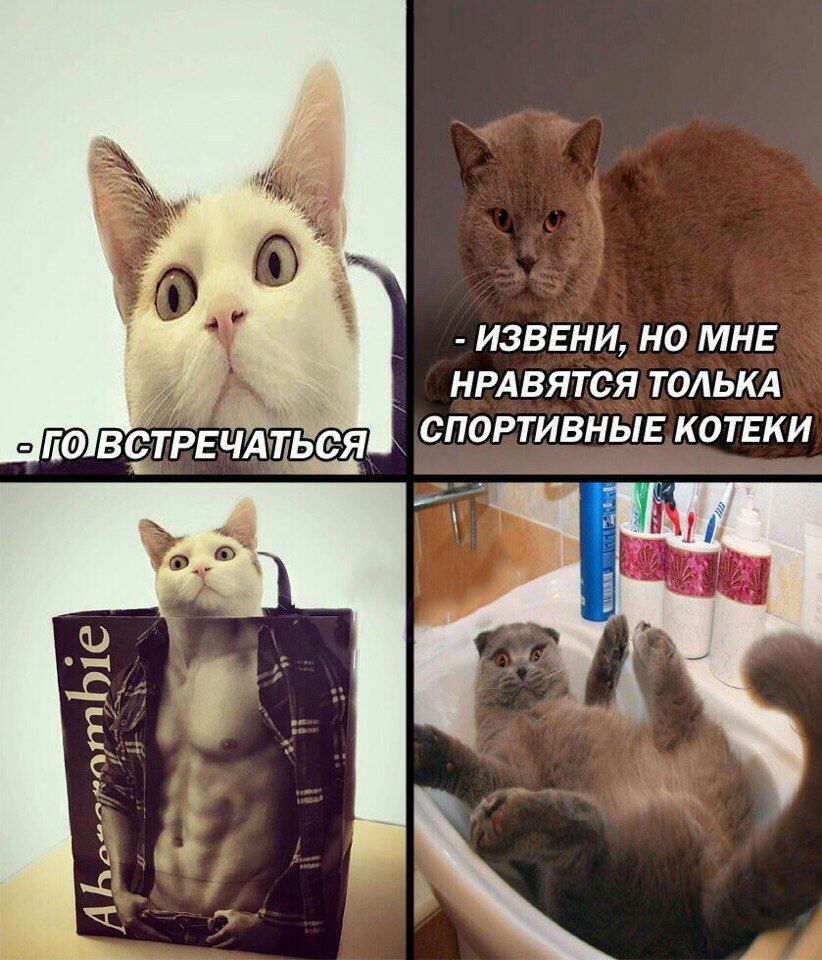 ИЗВЕНИ НО МНЕ НРАВЯТСЯ ТОАЬКА СПОРТИВНЫЕ КОТЕКИ 16 т АВМт