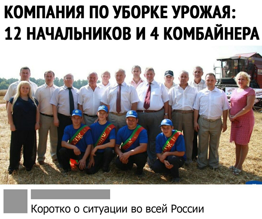 КОМПАНИЯ ПО УБОРКЕ УРОЖАЯ 12 НАЧАЛЬНИКОВ И 4 КОМБАЙНЕРА _ Коротко о ситуации во всей России