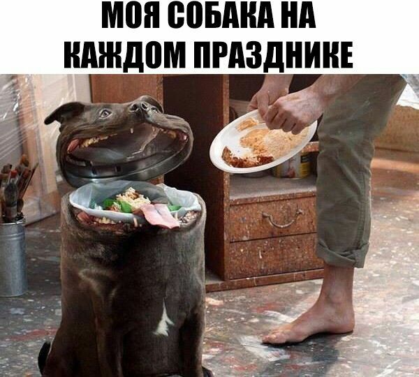 МШ ЮБМШ нд нмндом ПРАЗДНИК