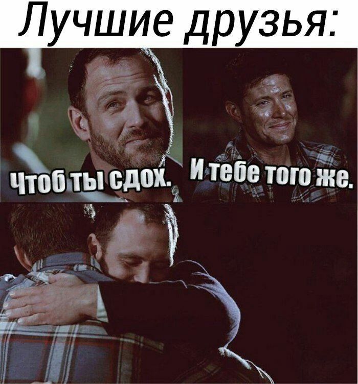 Лучшие друзья