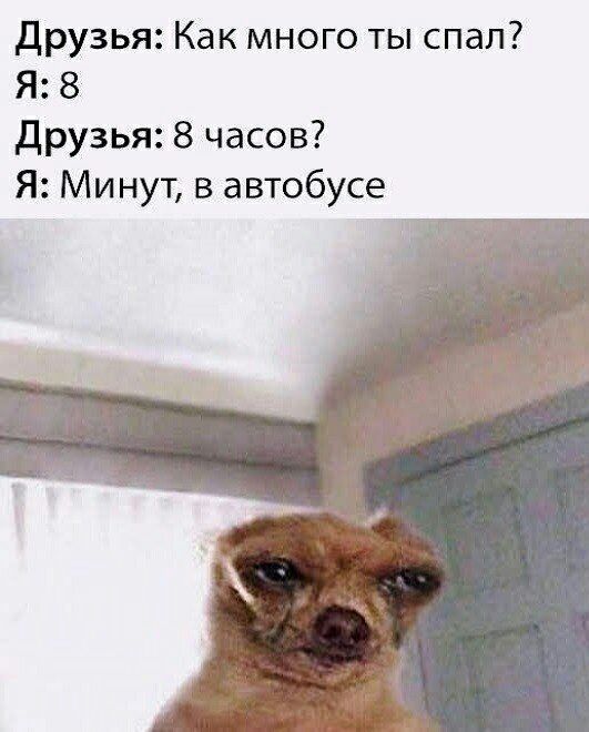 Друзья Как много ты спал Я 8 Друзья 8 часов Я Минут в автобусе