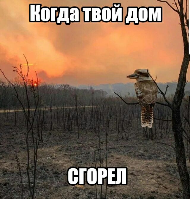 когда твой дом ВШРШ