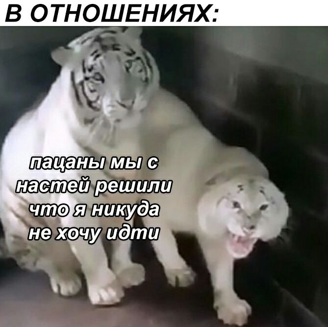 В ОТНОШЕНИЯХ _ч