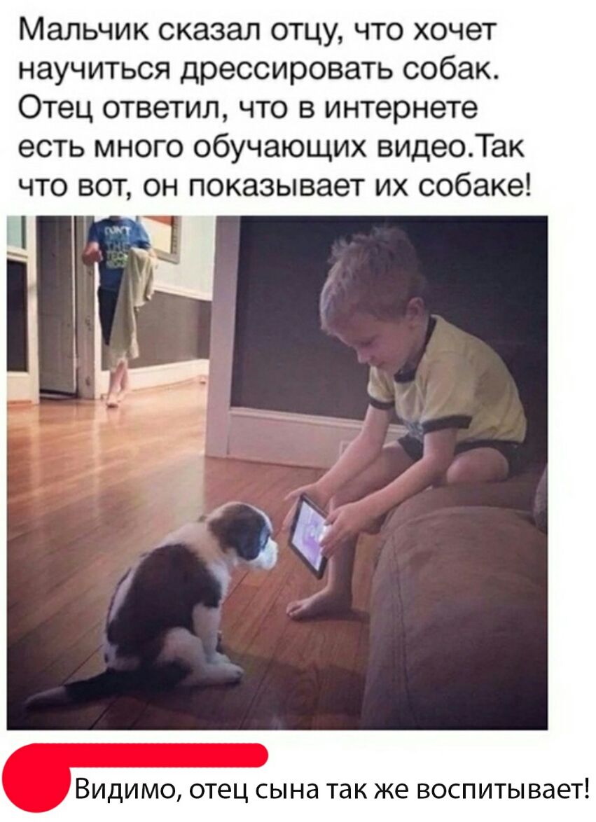 Мальчик сказал отцу что хочет научиться дрессировать собак Отец ответил что в интернете есть много обучающих видеоТак что вот он показывает их собаке ВИДИМО отец СЫНд так же ВОСПИТЫВЭЕТ