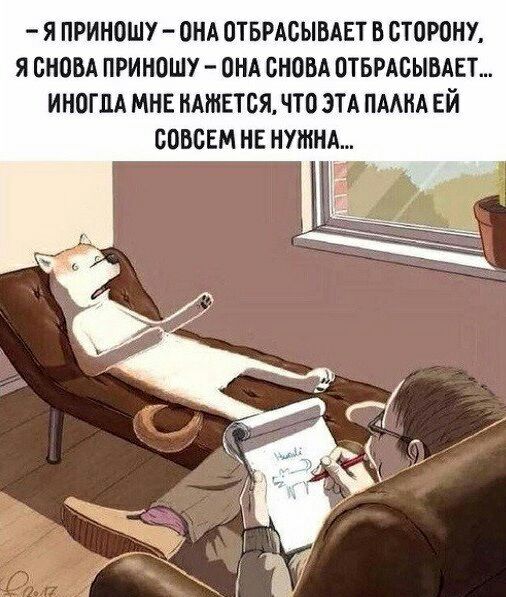 Я ПРИНОШУ ОНА ОТБРАСЫВАЕТ В СТОРОНУ Я СНОВА ПРИНОШУ ОНА СНОВА ОТБРАСЫВАЕТ ИНОГДА МНЕ НАШЕТСЯЧТО ЭТА ПААНА ЕЙ СОВСЕМ НЕ НУЖНА