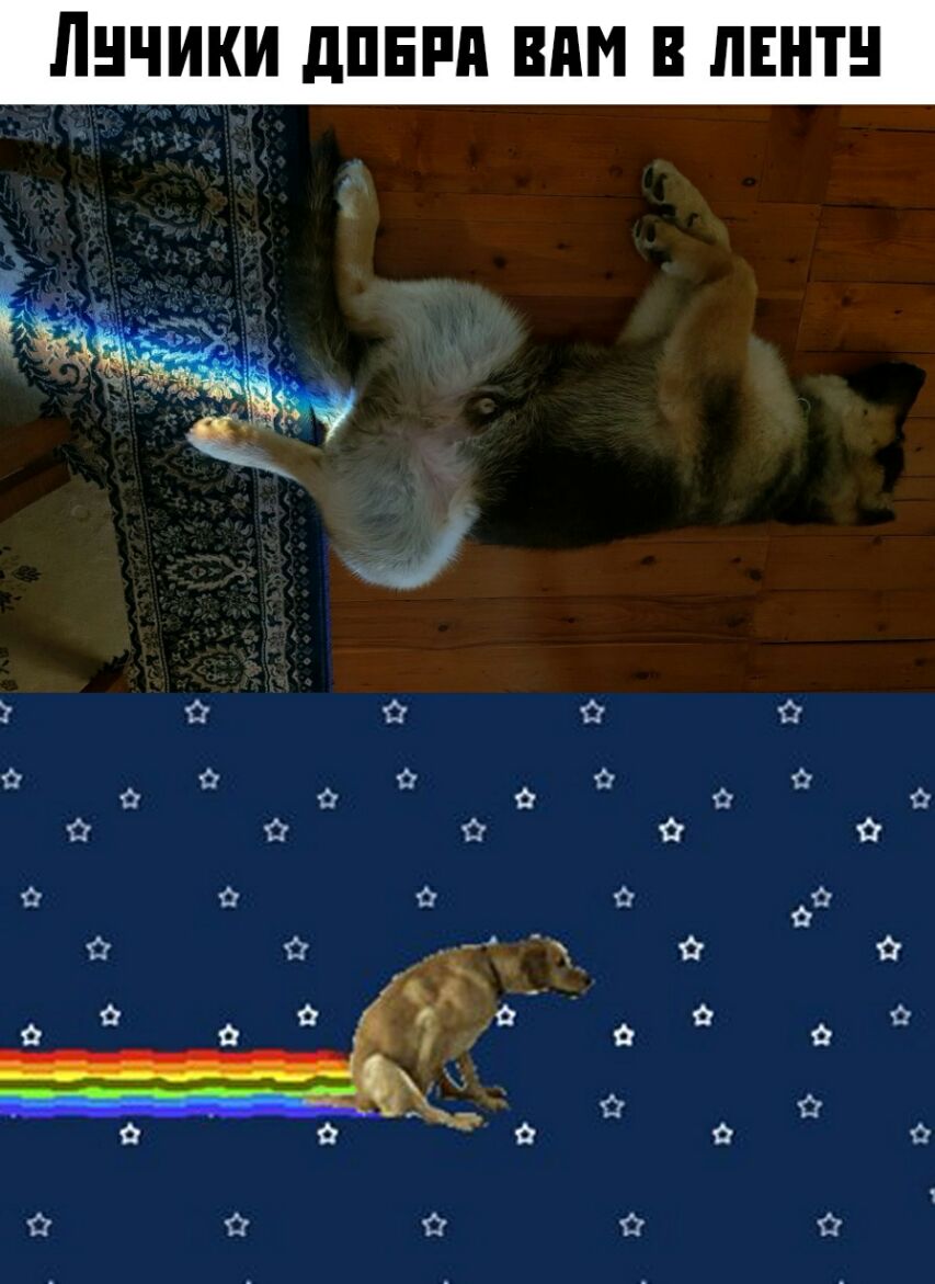О 0 0 9 9 Ф 0 С О _ 0 йй 0 у 0 О 9