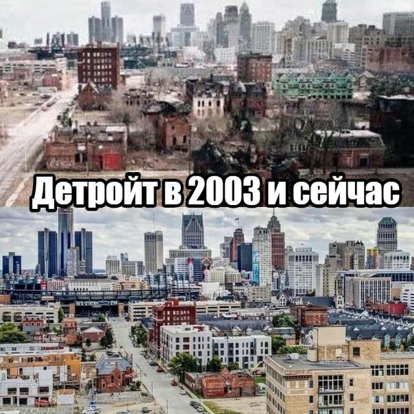 ёж