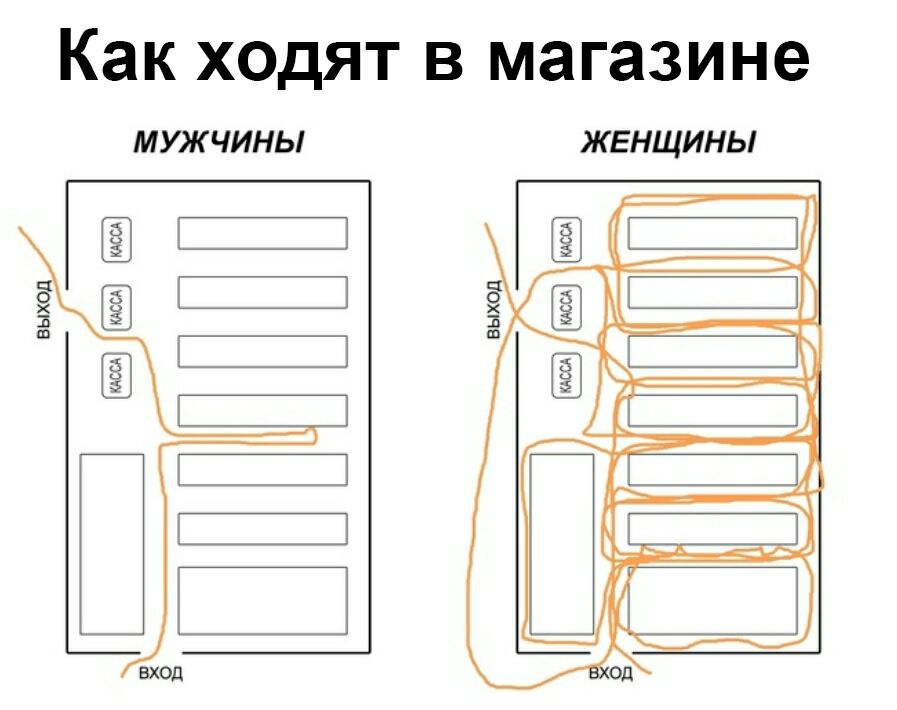 Как ходят в магазин мужчины и женщины схема