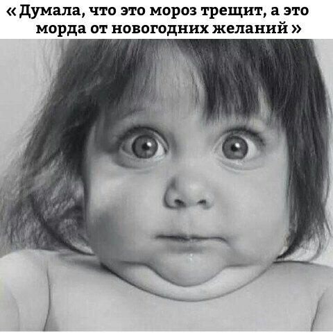 думала что это мороз трещит а это морда от новогодних желаний