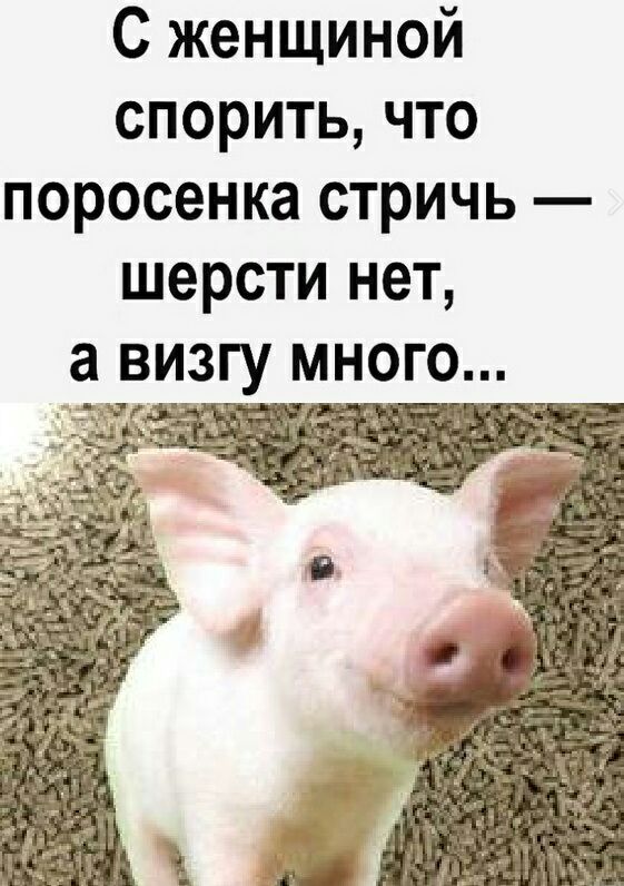 С женщиной спорить что поросенка стричь шерсти нет а визгу много
