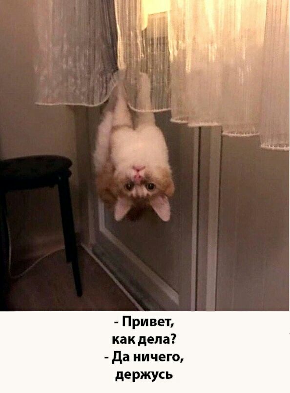 Привет как дела да ничего держусь