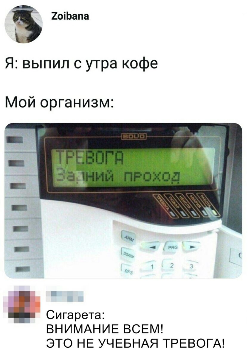 Ё 2оіЬапа Я выпил с утра кофе Мой организм _ _ _ Сигарета ВНИМАНИЕ ВСЕМ ЭТО НЕ УЧЕБНАЯ ТРЕВОГА