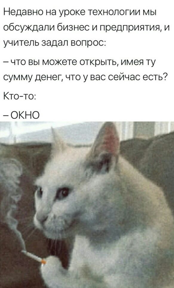 Недавно на уроке технологии мы обсуждали бизнес и предприятия и учитель задал вопрос что вы можете открыть имея ту сумму денег что у вас сейчас есть Ктото ОКНО