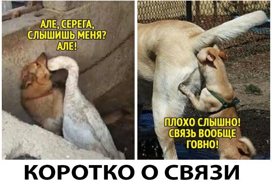 А_ Коротко о СвяЗи