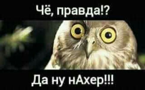 Чё правда Ж