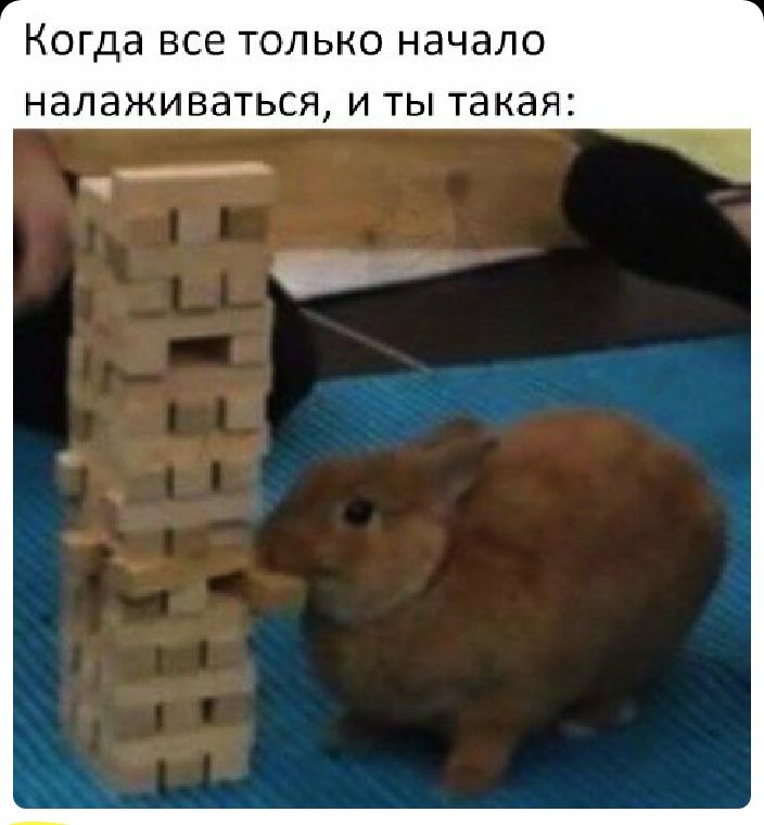 Когда все только начало НЗЛЗЖИВВТЬСЯ И ТЫ такая