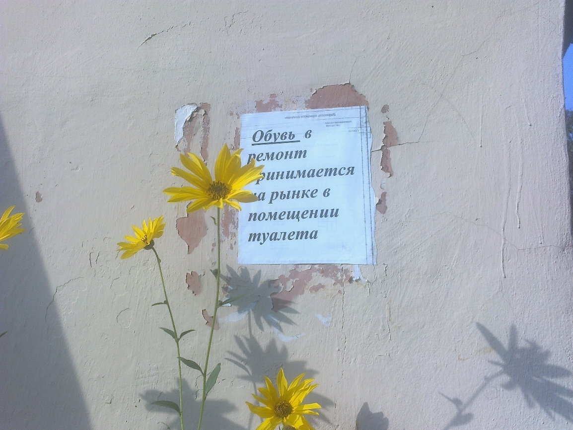 і инимает Я 1