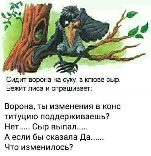 Сидит ворона на суку в клюве сыр Бежит лиса и спрашивает Ворона ты изменения в конс титуцию поддерживаешь Нет Сыр выпал А если бы сказала да Что изменилось