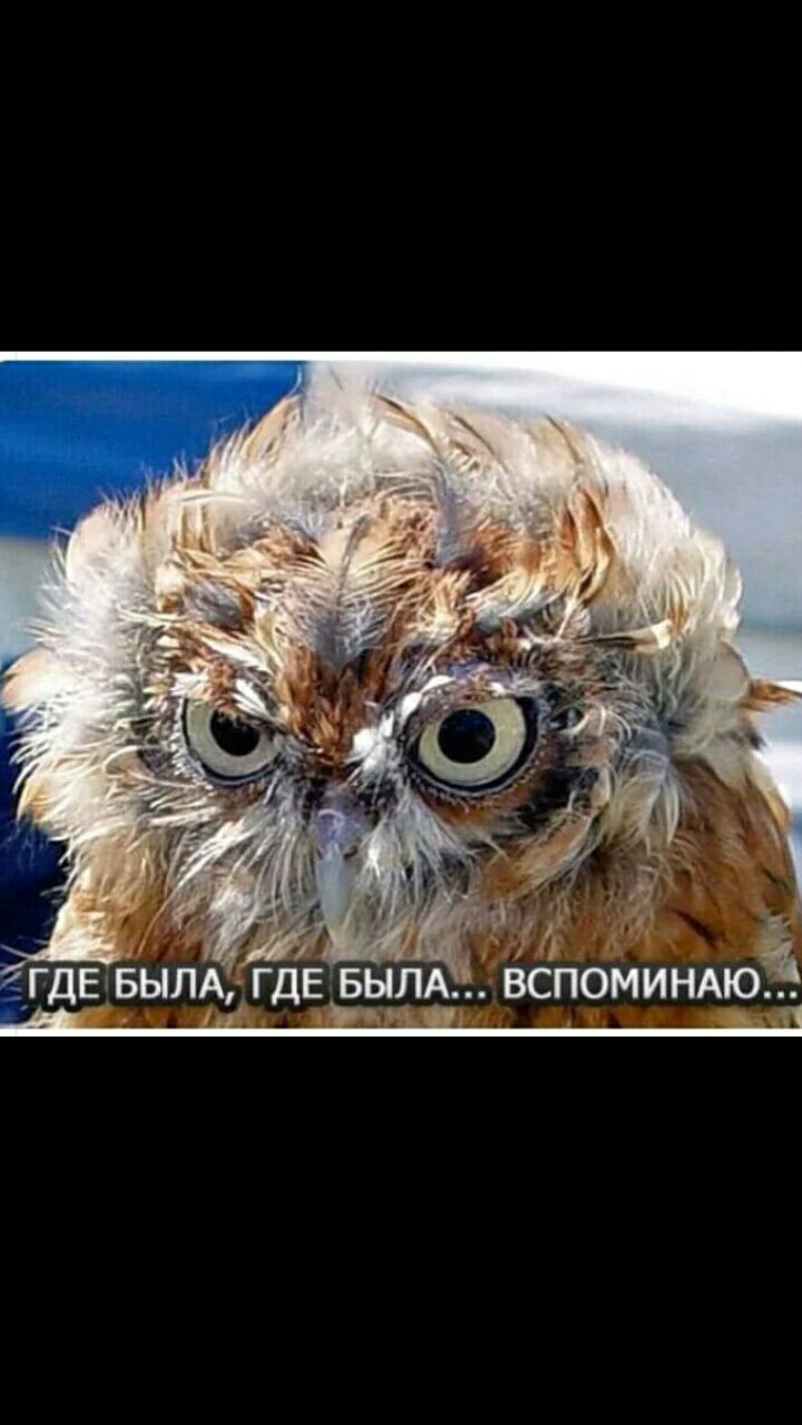 ВСПОМИНАЮ