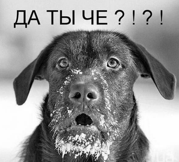 ДАТЫЧЕН