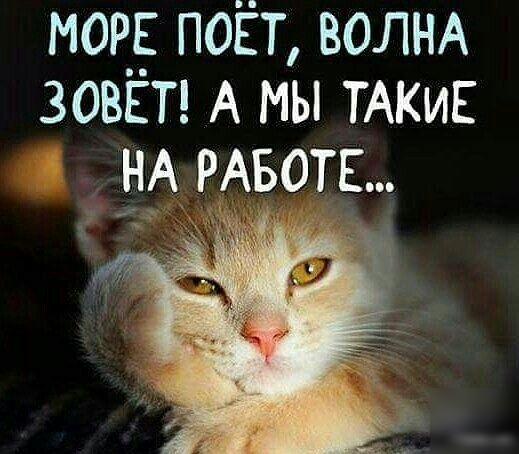мор поёт ВОЛНА зови А мы ТАКИЕ БА РАБОТЕ