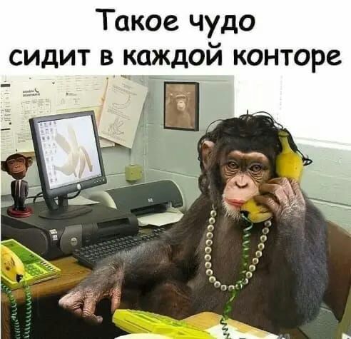 Такое чудо сидит в каждой конторе
