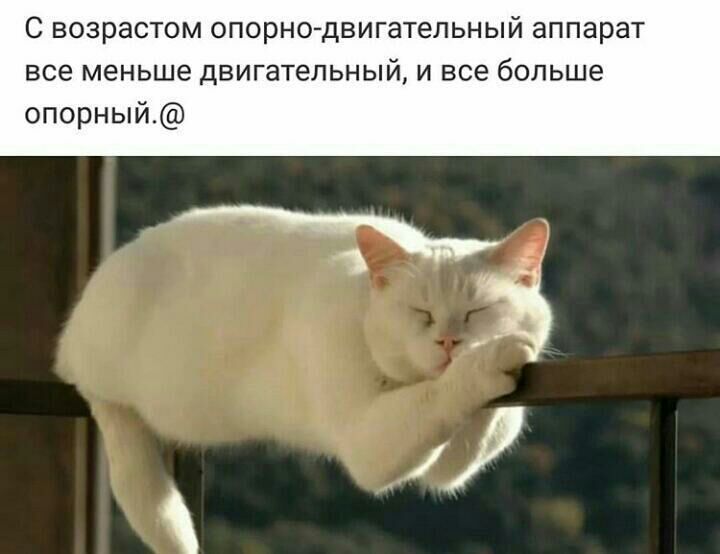 С возрастом опорно двигательный аппарат все меньше двигательный и все больше опорный