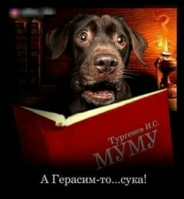 А Герасиюсука