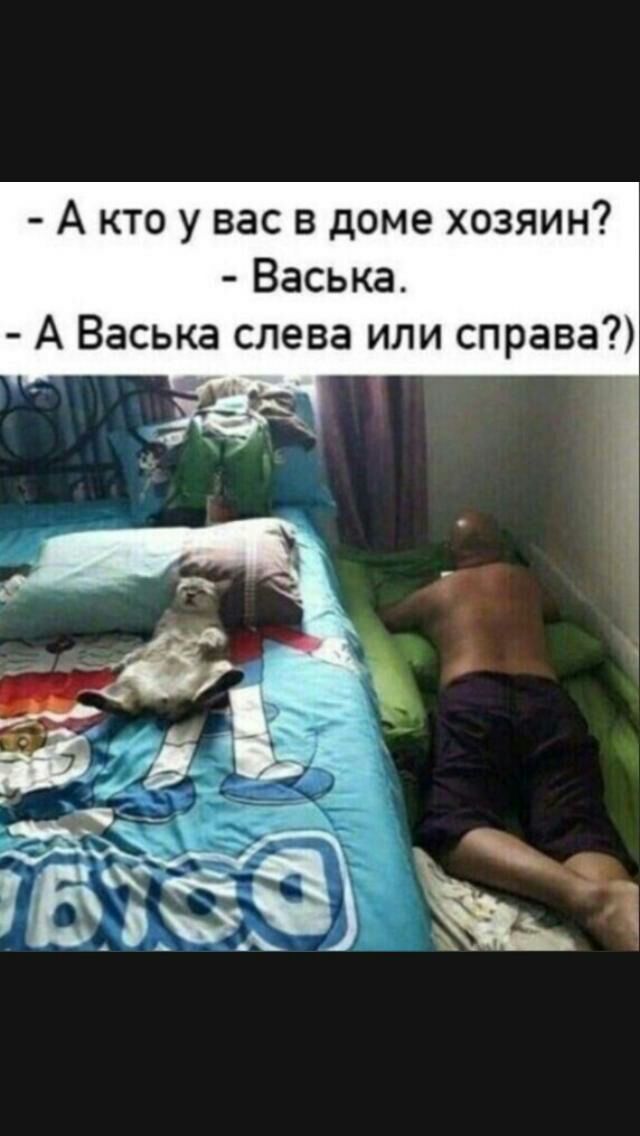 А кто у вас в доме хозяин Васька А Васька слева или справа