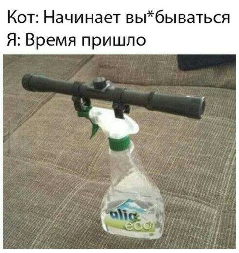 Кот Начинает выбы ваться Я Время пришло