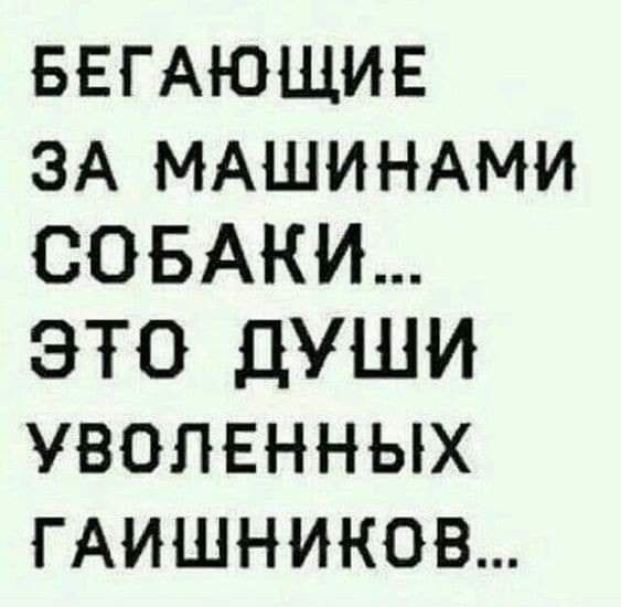 БЕГАЮЩИЕ ЗА МАШИНАМИ СОБАКИ ЭТО ДУШИ УВОЛЕННЫХ ГАИШНИКОВ
