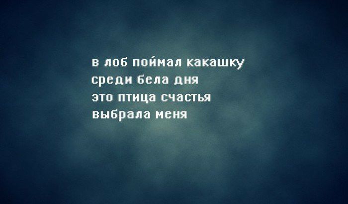 в лоб поймал какашку среди бела дня это птица счастья выбрала меня