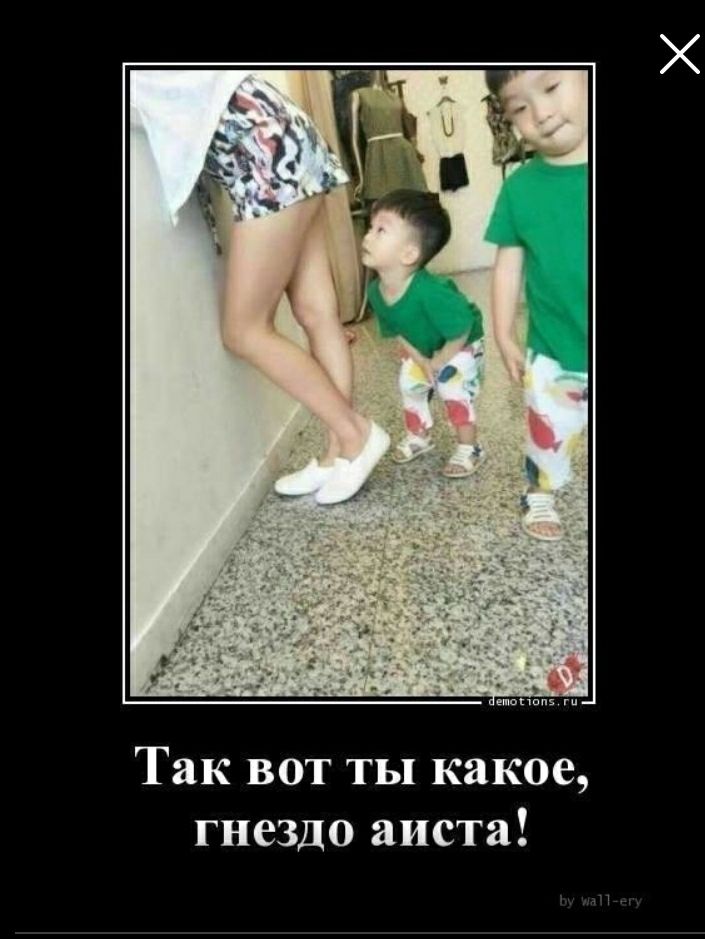 Так вот ты какое гнездо аиста