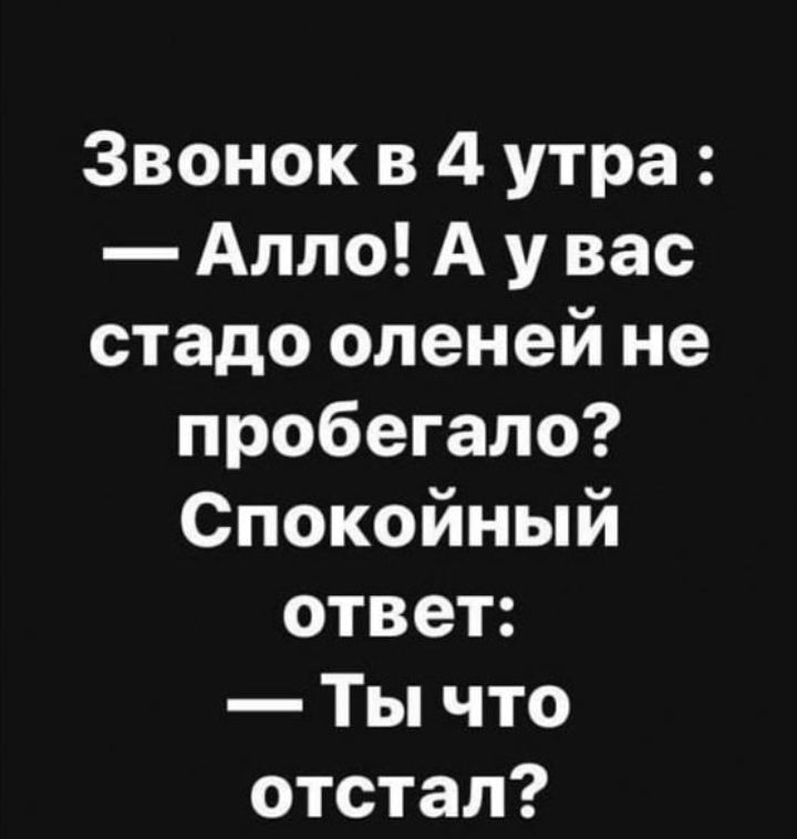 Звонок в 4 утра Алло А у вас стадо оленей не пробегало Спокойный ответ Ты что отстал