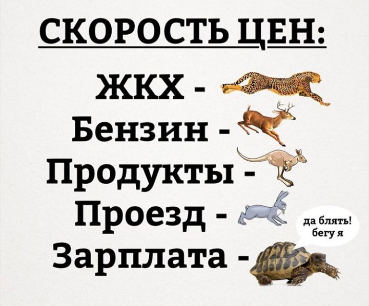 скорость цщ жкх Бензин ПродуктыК АЁ Проезд в деябгу Зарплата