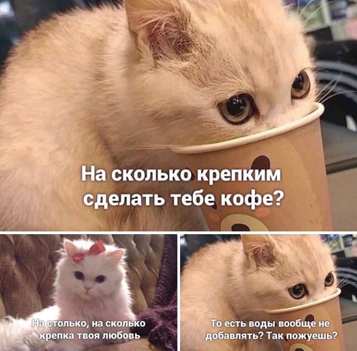 сделать тебе кефе епкатвоя пюбёвь впять Так пожуе Т