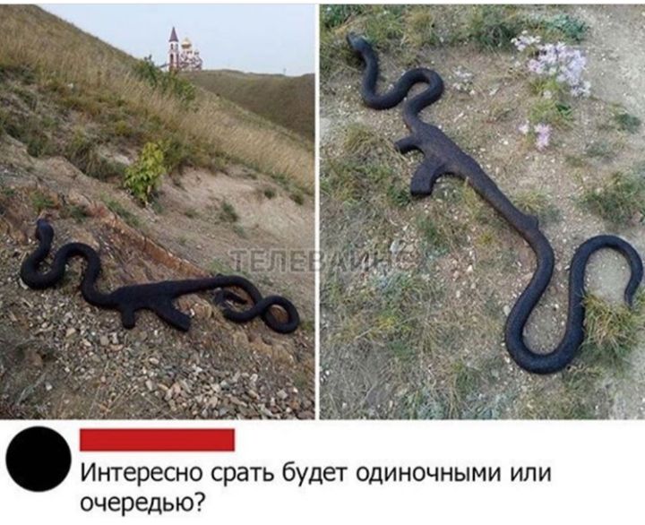 Интересно срать будет одиночными или очередью