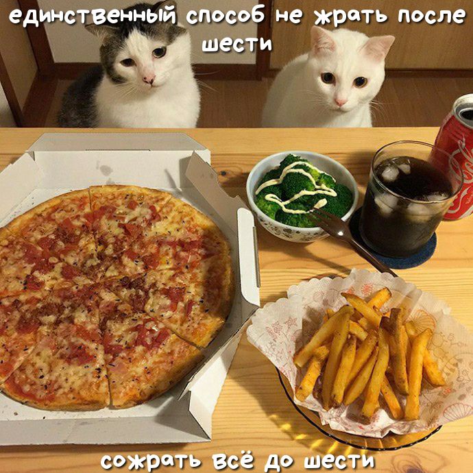 не жрать после единствендЬТйі _ М