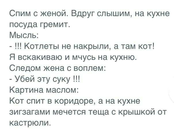 Спим с женой Вдруг слышим на кухне посуда гремит Мысль Котлеты не накрыли а там кот Я вскакиваю и мчусь на кухню Следом жена воплем Убей эту суку Картина маслом Кот спит в коридоре а на кухне зигзагами мечется теща с крышкой от кастрюли
