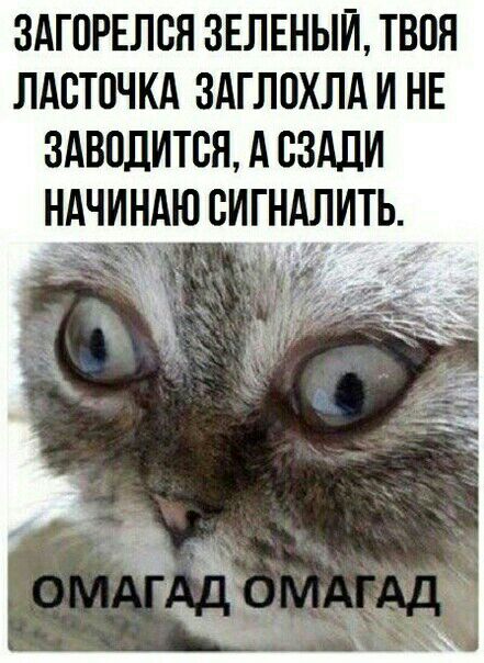 ЗАГПРЕЛВЯ ЗЕЛЕНЫЙ ТВОЯ ЛАВТПЧКА ЗАГЛПХЛА И НЕ ЗАВПЛИТВЯ А СЗАДИ НАЧИНАЮ СИГНАЛИТЬ