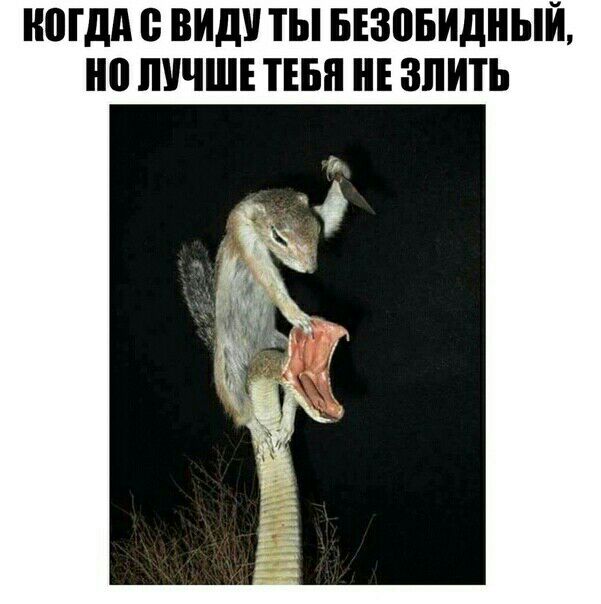ЮГДА ВИД ТЫ БЕЗПБИДНЫЙ 0 ЛУЧШЕ ТЕБЯ ЗЛИТЬ
