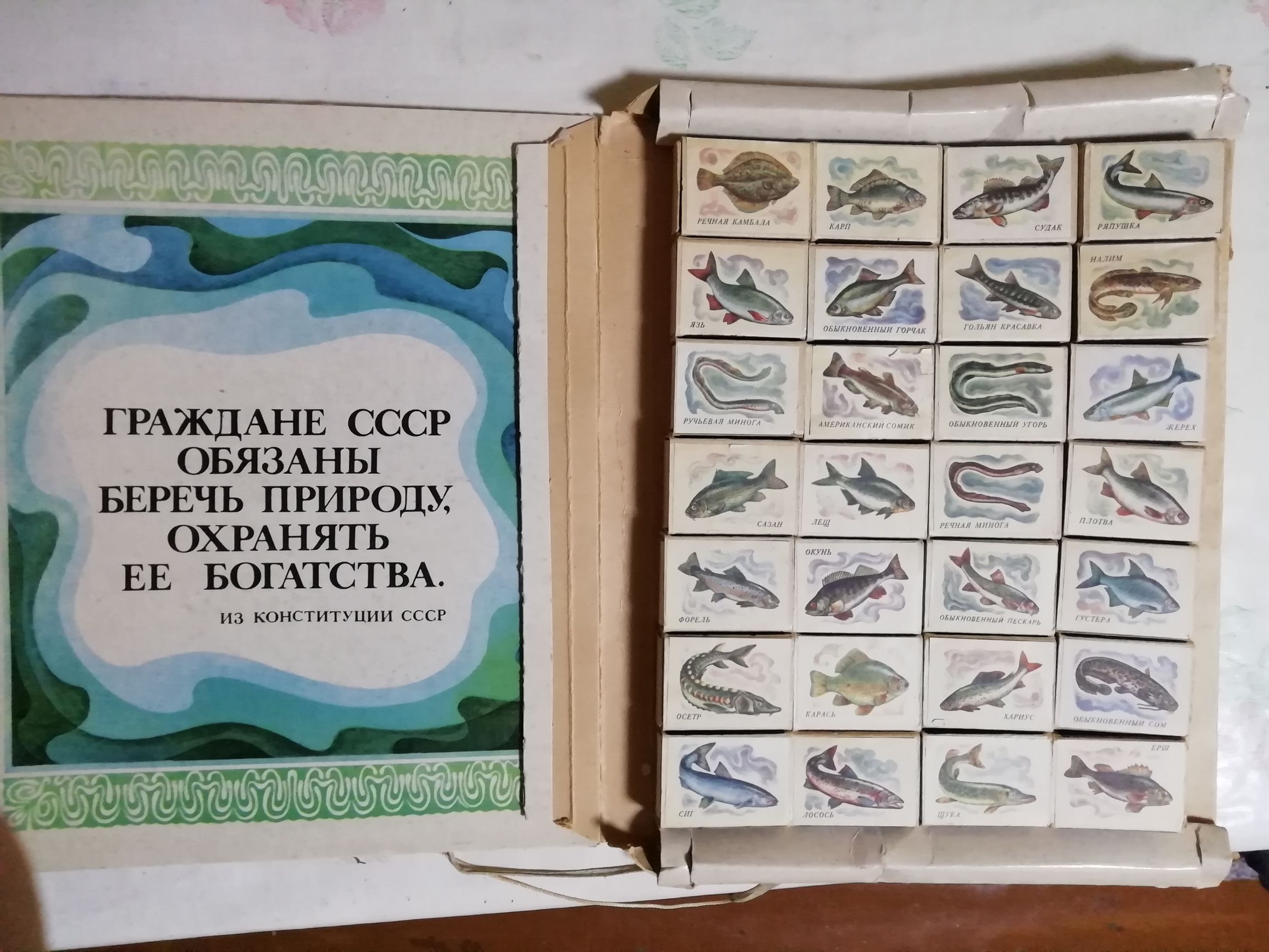 ГРАЖДАНЕ СССР ОБЯЗАНЫ БЕРЕЧЬ ПРИРОДУ, ОХРАНЯТЬ ЕЕ БОГАТСТВА. ИЗ КОНСТИТУЦИИ СССР.