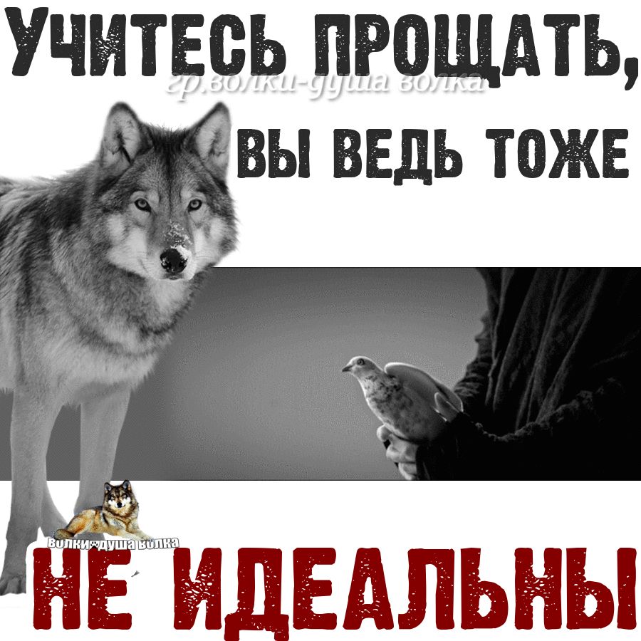 УЧИТЕсь ПРОЩАТЬ вы ввдь тоже
